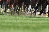サンプル 代表チームが計画の見直しを発表